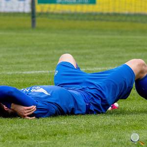 Foto: Bodo Hering / BFV 08